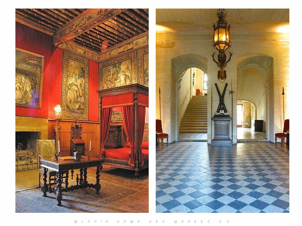 149 CHATEAU DE BRISSAC MAINE ET LOIRE 2016 N0_000034.jpg
